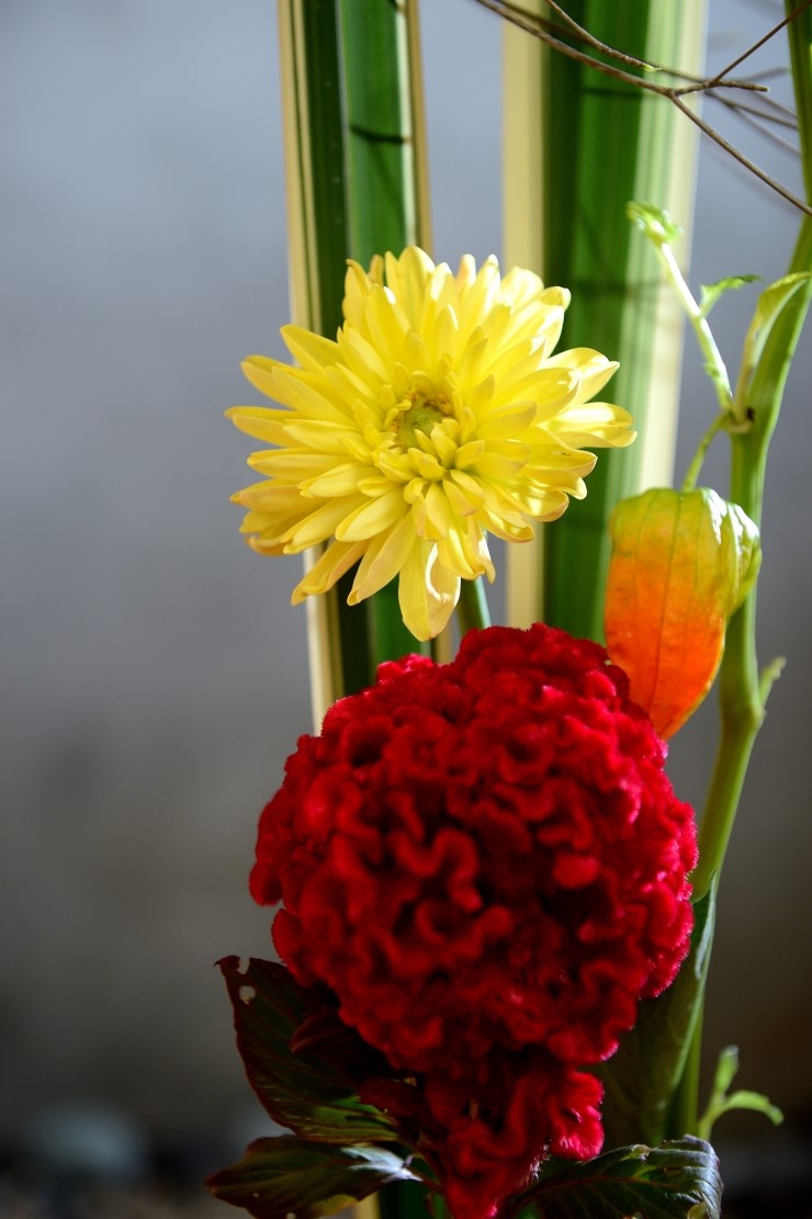 589acfd14abef_220109268727_3.jpg