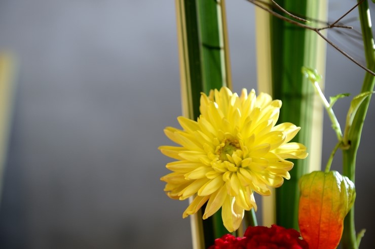 589acfd14abef_220109268727_4.jpg