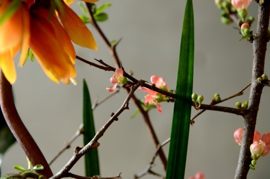 589c560cb2e22_220675338909_8.jpg