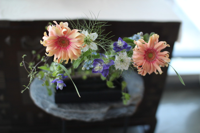 5ae6d323c894a_221263621262_7.jpg