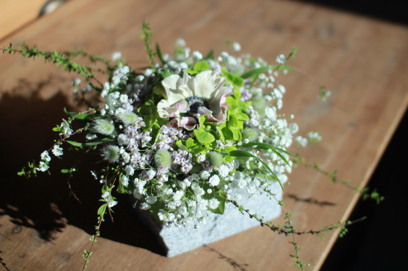 5c32fb7100bf2_221435037688_5.jpg