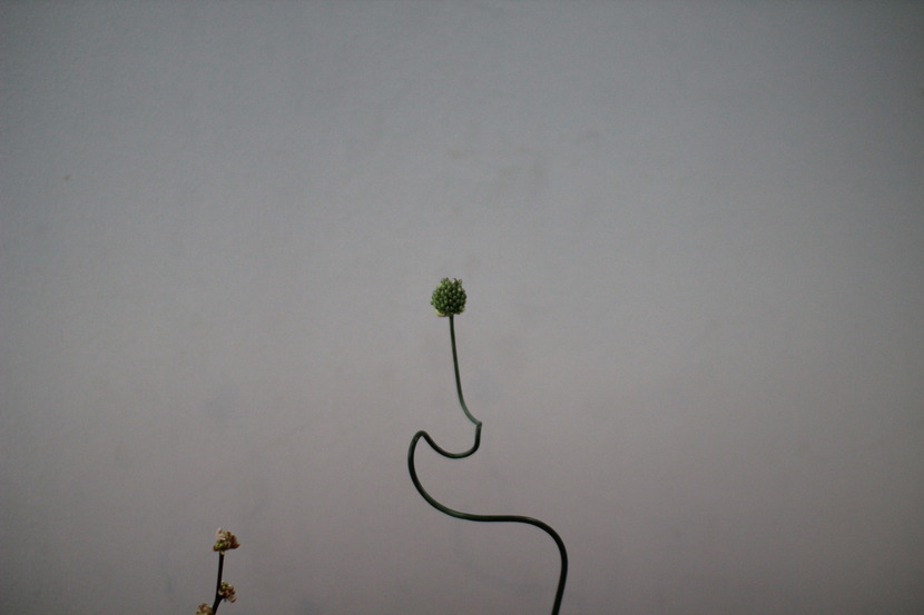 5c4a795799c8d_221449513735_6.jpg