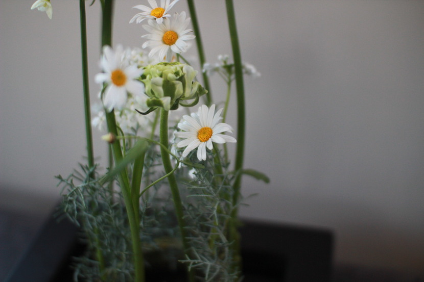 5ccbb07ba7b4f_221525564115_3.jpg