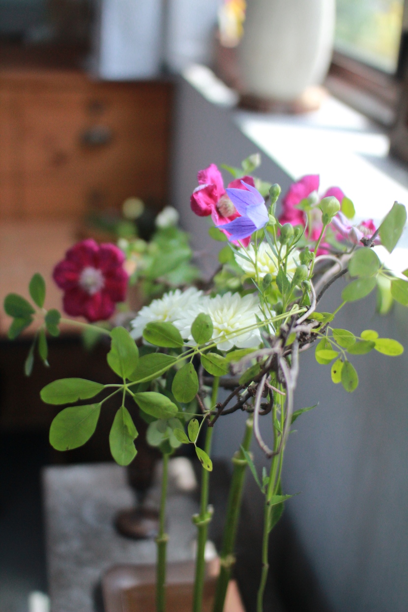5d3fb5704e2c5_221596794407_4.jpg