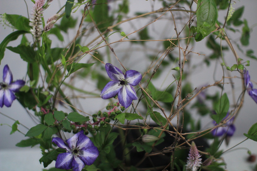 5d42753a2db44_221598269674_5.jpg
