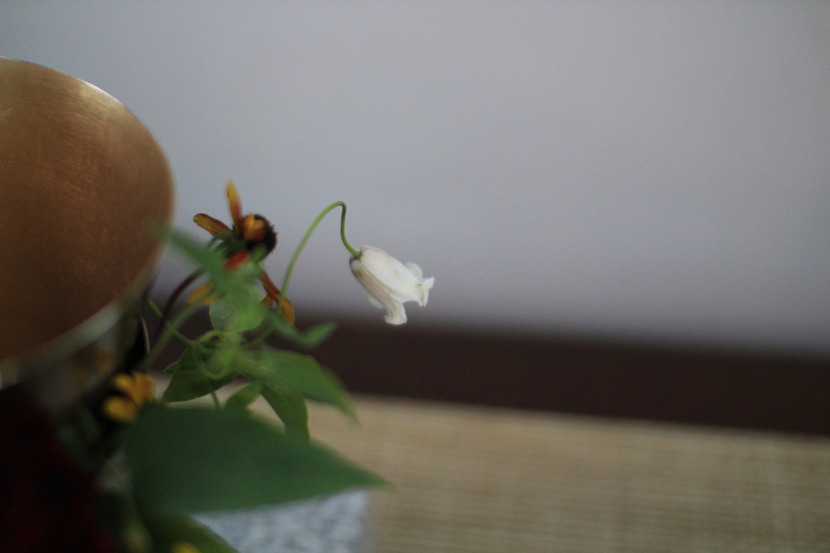 5d772ac58b902_221642082765_8.jpg
