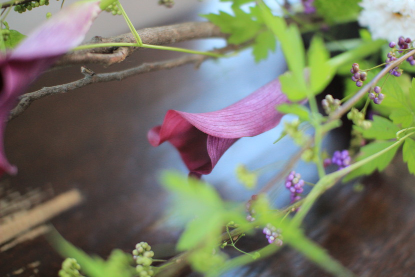 5d786cd83101c_221644022497_8.jpg