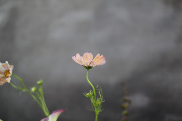 3ca48df6215f7d6818ba353055e18002_1642732153_5366.jpg