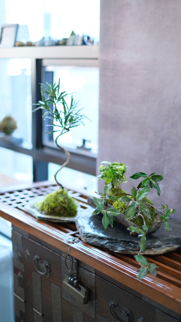 4f80af52cb38944d8d476cfd9611281b_1645154209_1827.jpeg
